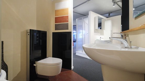 Ein modernes Badezimmer mit einem eleganten Waschbecken und einem stilvollen WC, umgeben von neutralen Farben und sanften Lichtverhältnissen.